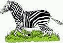 animated-zebra-image-0025
