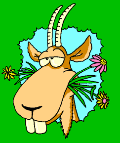 animated-goat-image-0061