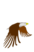 animated-eagle-image-0002