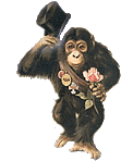 animated-chimp-image-0042