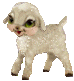 animated-sheep-image-0008