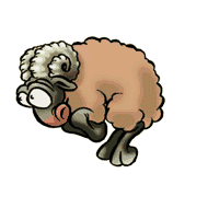animated-sheep-image-0097