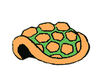 animated-turtle-image-0021