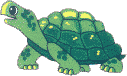 animated-turtle-image-0124