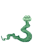 animated-snake-image-0064