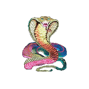 animated-snake-image-0147