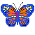 animated-butterfly-image-0019