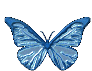 animated-butterfly-image-0290