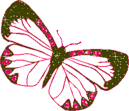 animated-butterfly-image-0370