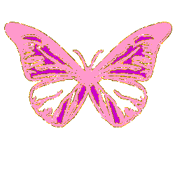 animated-butterfly-image-0382