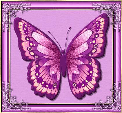 animated-butterfly-image-0408