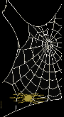 animated-spider-image-0077