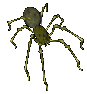 animated-spider-image-0143