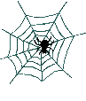 animated-spider-image-0161
