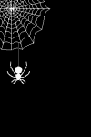 animated-spider-image-0174