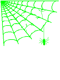 animated-spider-image-0195