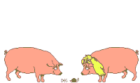 animated-pig-image-0187