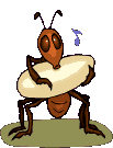 animated-insect-image-0096