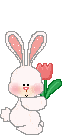 animated-rabbit-image-0016