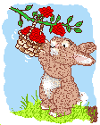 animated-rabbit-image-0068