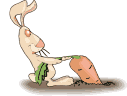 animated-rabbit-image-0088
