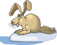 animated-rabbit-image-0101