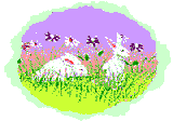 animated-rabbit-image-0121