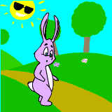 animated-rabbit-image-0150