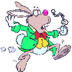 animated-rabbit-image-0164