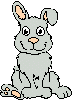 animated-rabbit-image-0170