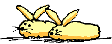 animated-rabbit-image-0180