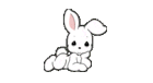 animated-rabbit-image-0191