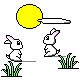 animated-rabbit-image-0201