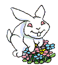 animated-rabbit-image-0283