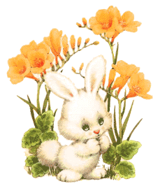 animated-rabbit-image-0332