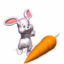 animated-rabbit-image-0520