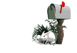 animated-rabbit-image-0590