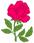 animated-rose-image-0169