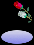 animated-rose-image-0193
