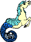 animated-sea-horse-image-0009