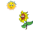 animated-sunflower-image-0040