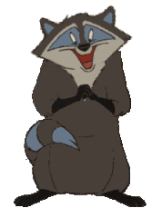 animated-raccoon-image-0012
