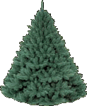 animated-christmas-tree-image-0295