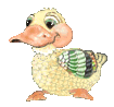 animated-duck-image-0029