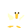 animated-duck-image-0050