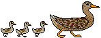animated-duck-image-0069
