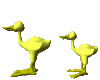 animated-duck-image-0081