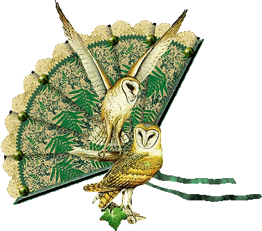 animated-owl-image-0096