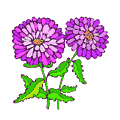 animated-flower-image-0012