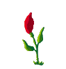 animated-flower-image-0045